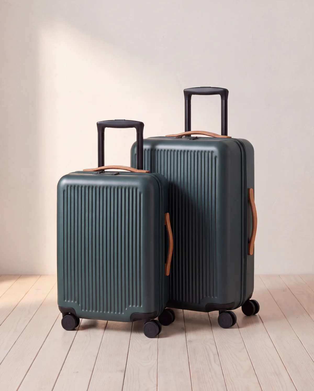 Carry-On and Medium Set, 2 pieces